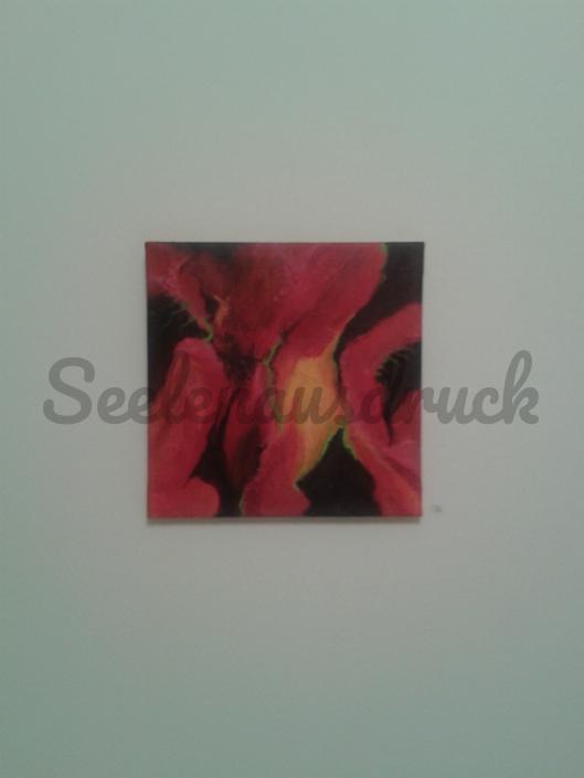 Ausstellungen