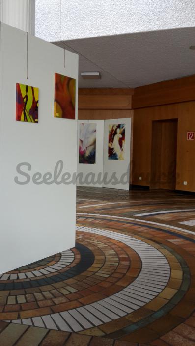 Ausstellungen